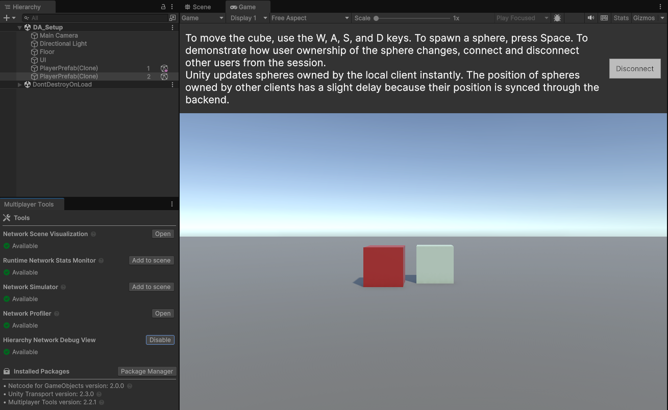 Screenshot of the Hierarchy Network Debug View enabled